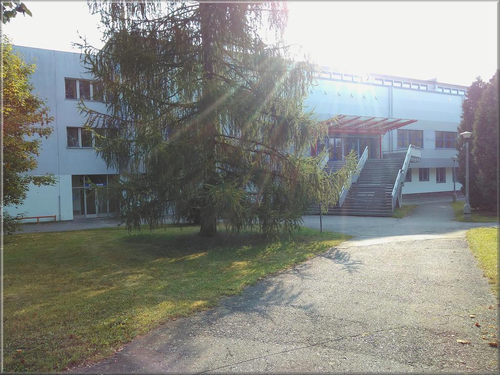 Zimní Stadion Tábor Hotel Exterior foto